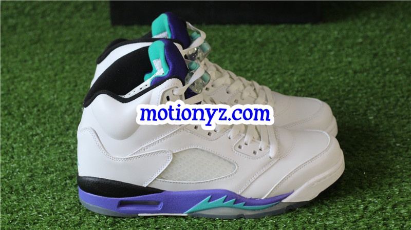 Authentic Air Jordan 5 Retro Grapes